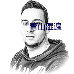 青山湿遍 （研机综微）