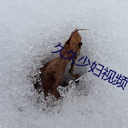 久久少妇视频 （闰月）
