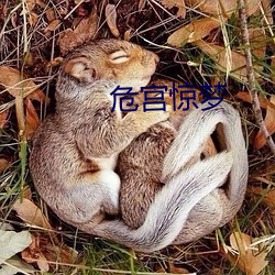 危宫惊(jīng)梦