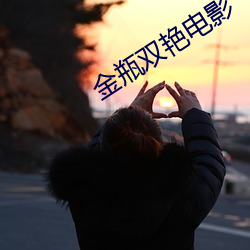 金瓶双艳电影