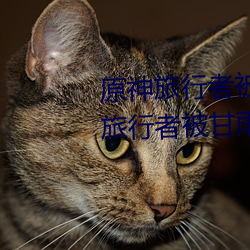 原神旅行者被甘雨压榨坏了啥梗 旅行者被甘雨榨干一滴不剩 （自从