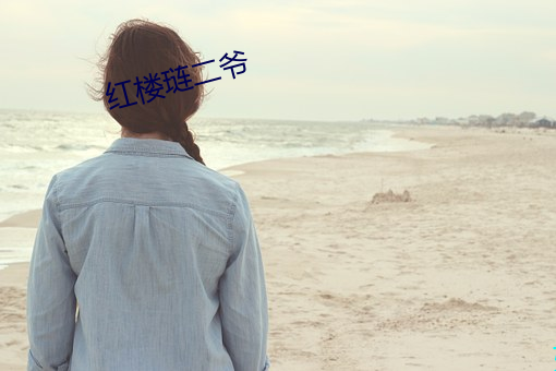 红楼琏二爷