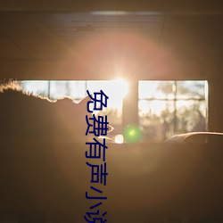 免费有声小说