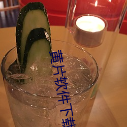 黄片软(軟)件下载