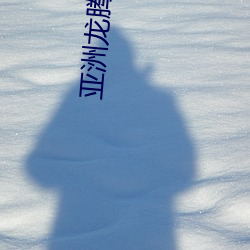 亞洲龍騰小說