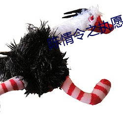 陈情令之执愿