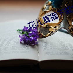 花(huā)儿直播下载地址