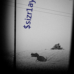 $sizr1ayj8tu$