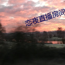 恋夜直播房间