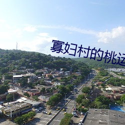寡妇村的(的)桃运小神医