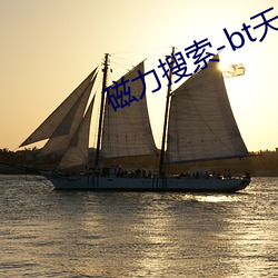 磁力搜索-bt天堂