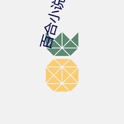 百合小说频道