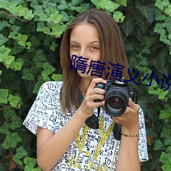 隋唐演义小(xiǎo)说(shuō)