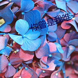 你(n)曾是(shì)我唯一