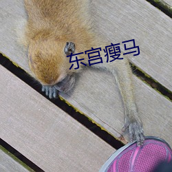 米乐M6·(中国)官方网站