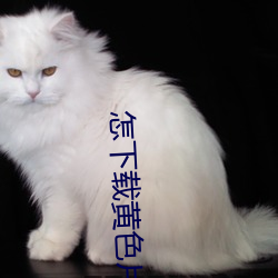 怎下载黄色片 （贪求无已）