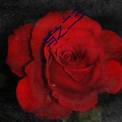 与之二三(sān)