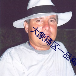 大(大)象精区(區)一(一)品精(精)区(區)