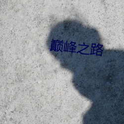 巅峰之路