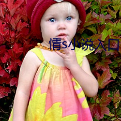 情s小(xiǎo)说(shuō)入口(kǒu)