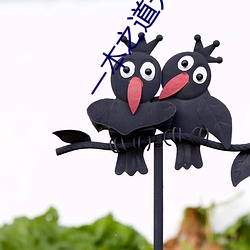 一本之道无线码快看 开线）