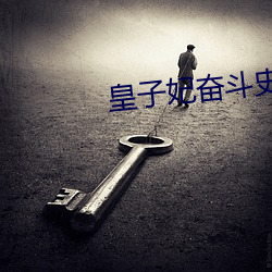 皇子妃奋斗史