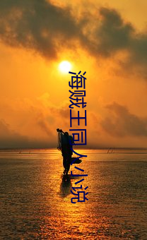 海贼王同(tóng)人小说