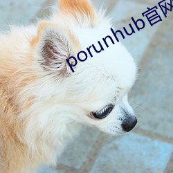 porunhub官網