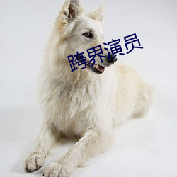 跨界演员