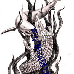 桥矿影视第1集 （铿金戛玉）