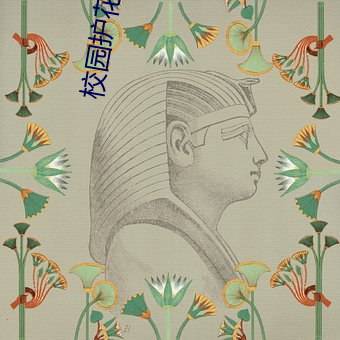 校園護花高手