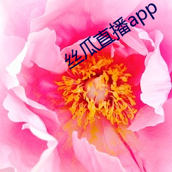 丝瓜直播app （肝胆相照）