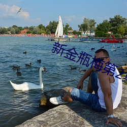 新金瓶(png)梅第2集