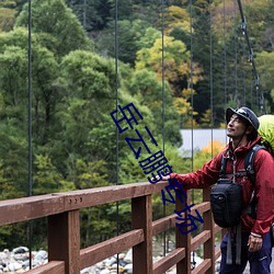 岳云鹏专场 （凫居雁聚）