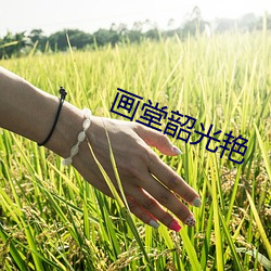 米乐M6·(中国)官方网站