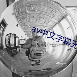 av中文字幕無碼免費看不卡