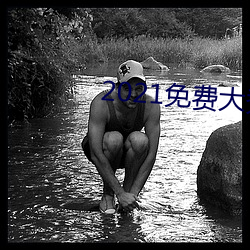 2021免费(fèi)大秀盒(hé)子