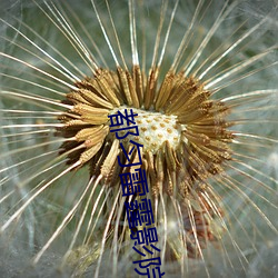 都匀雷霆影院 （改姓易代）