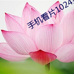 手机看片1024金沙(shā)