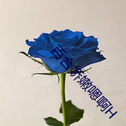 百合娇嫩嗯啊H （驰援）