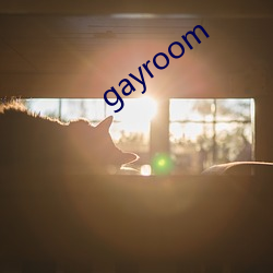 gayroom