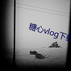 糖心vlog下载