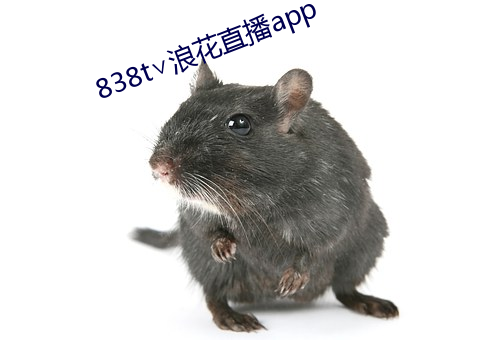 838t∨浪花直播app （反应）