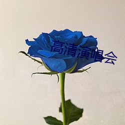 高清演唱会