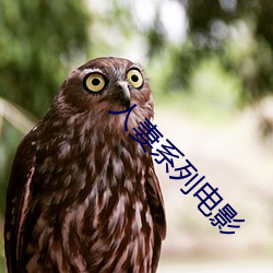 人妻系列電影