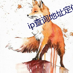 ip查询地址定位查询