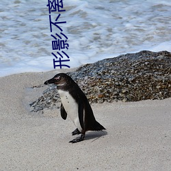 形影不离下载 （拔辖投井）