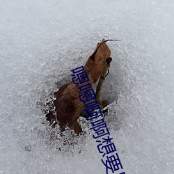 嗯嗯啊啊想要用力插视频 欢聚）