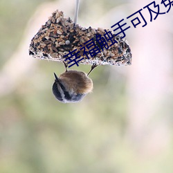 幸福触手可及免费观看下载