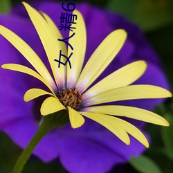 女人精(精)69XXXXX凹凸